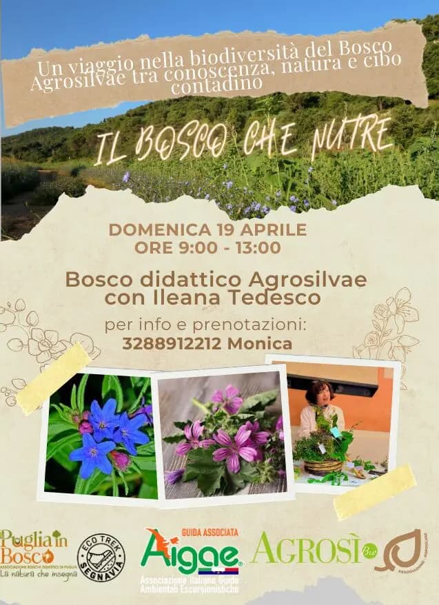 Puglia in Bosco - "Il bosco che nutre" presso il Bosco Agrosilvae - immagine 1
