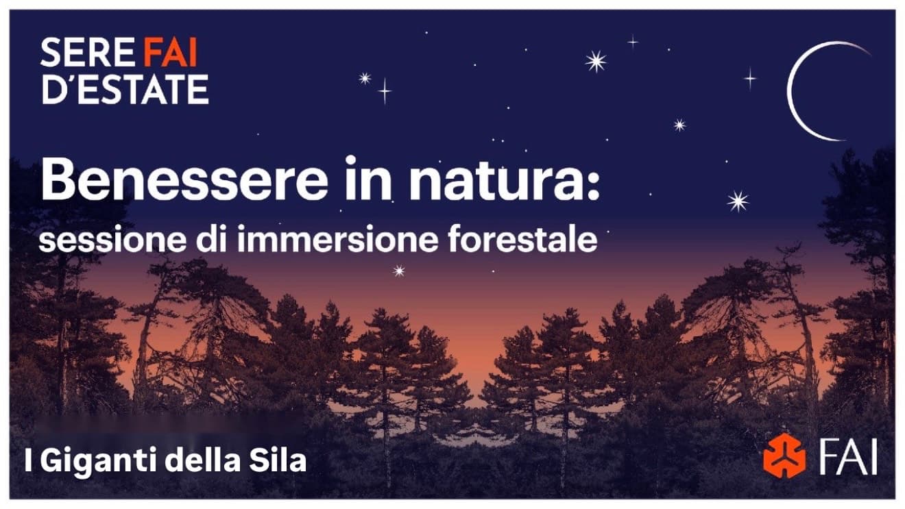 Benessere in Natura: Sessione di immersione forestale - immagine 1