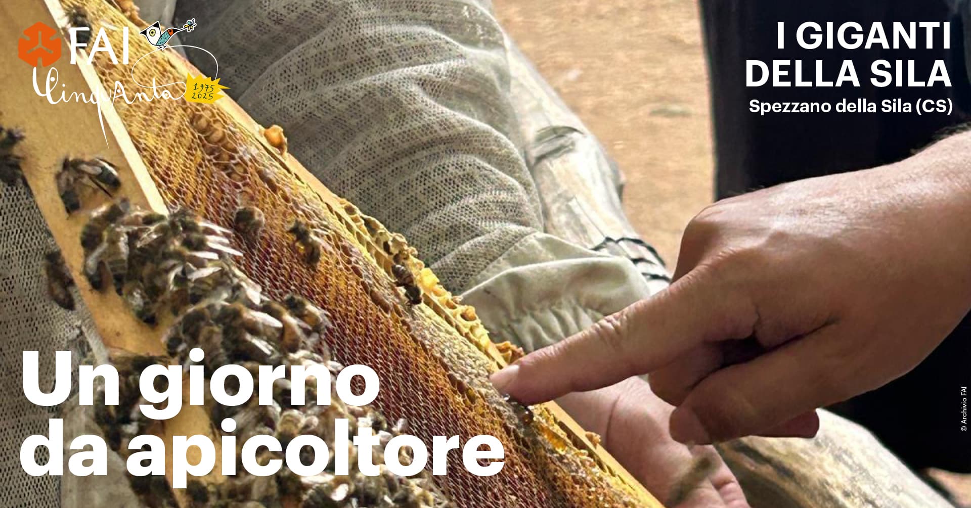 Un giorno da Apicoltore - immagine 1
