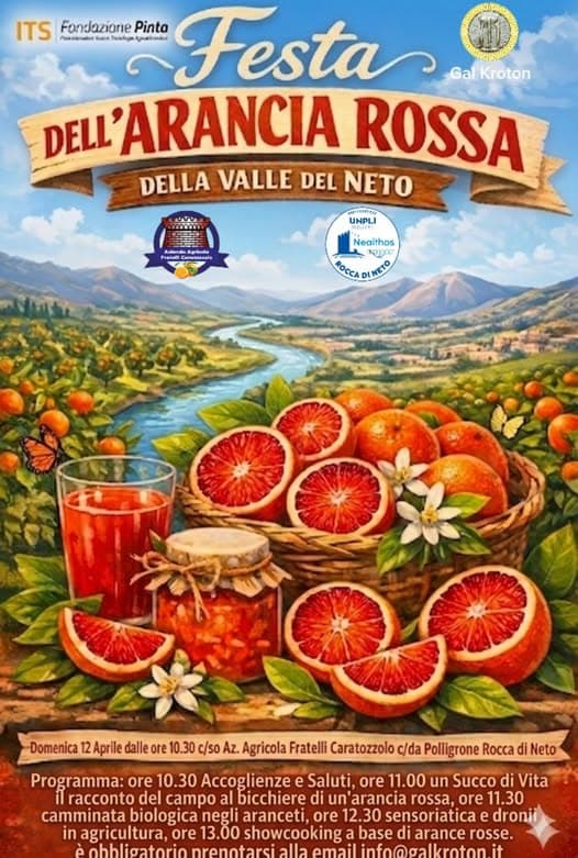 Festa dell'Arancia Rossa della Valle del Neto - immagine 1
