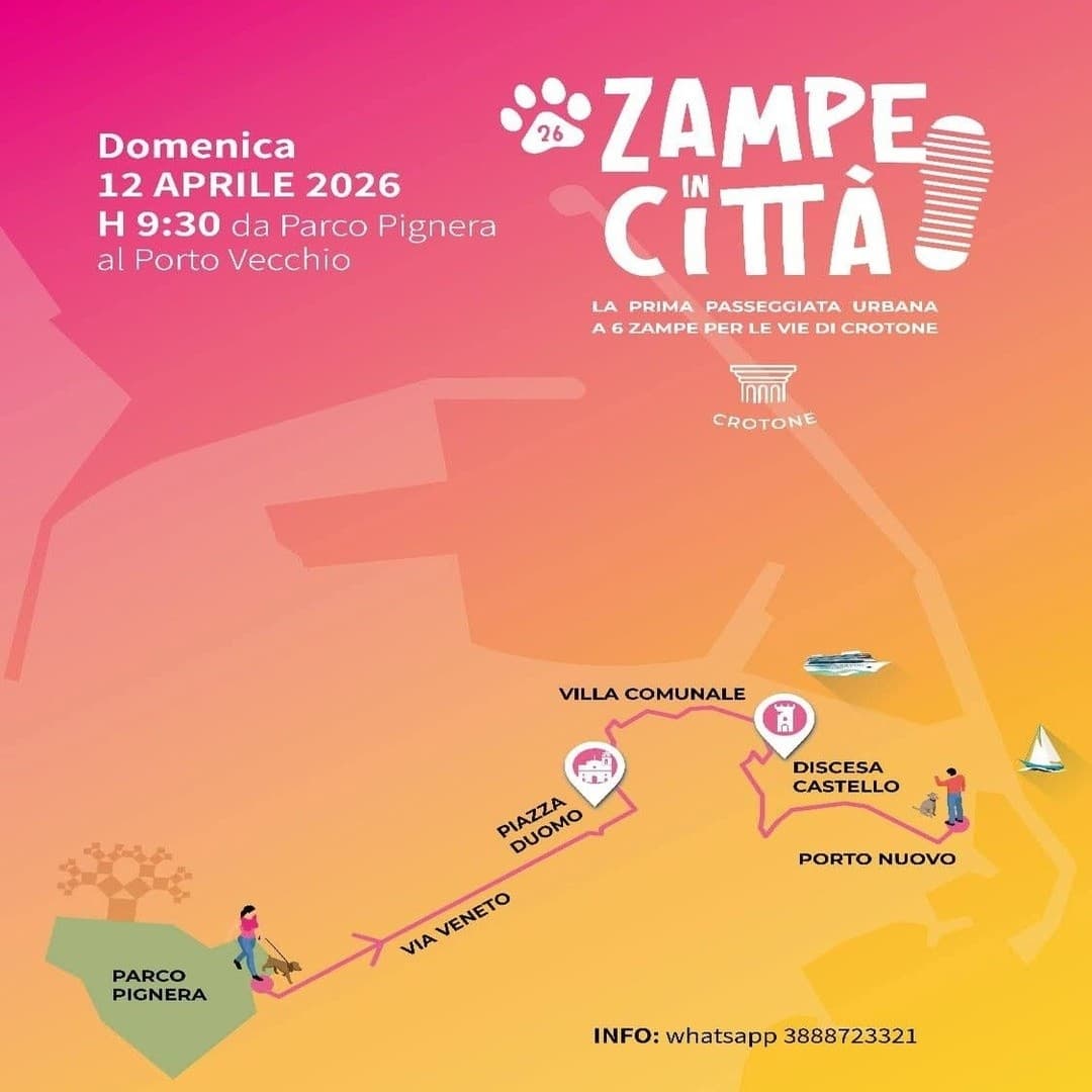 Zampe in città - immagine 1
