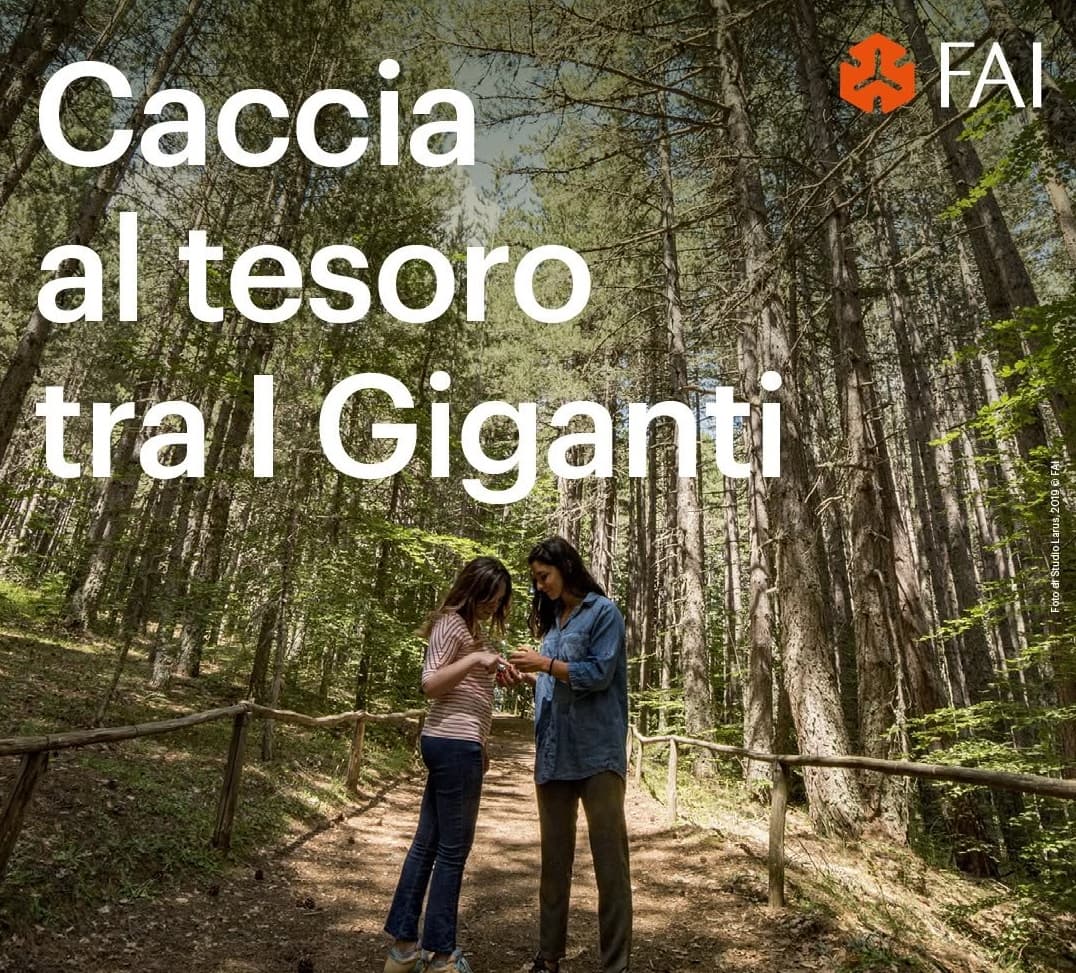Caccia al Tesoro tra i Giganti della Sila - immagine 1
