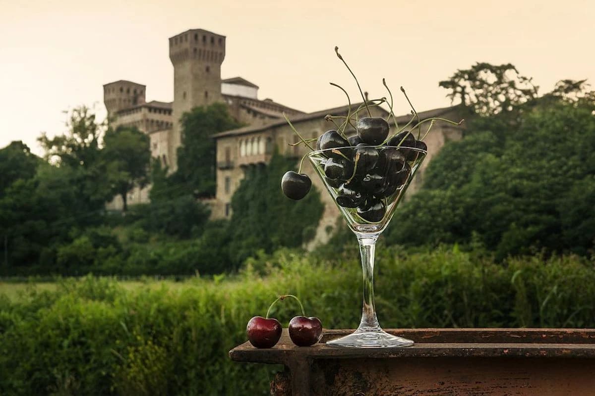 Vignola è tempo di ciliegie - immagine 1