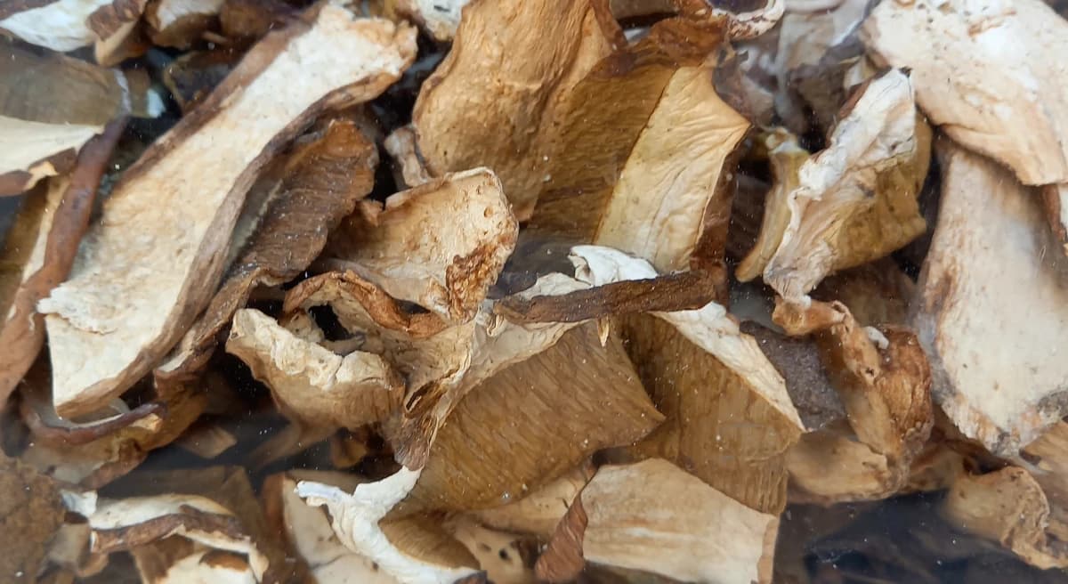 Mostra del fungo e del Tartufo e Festa dell’Uva a Bobbio - immagine 1