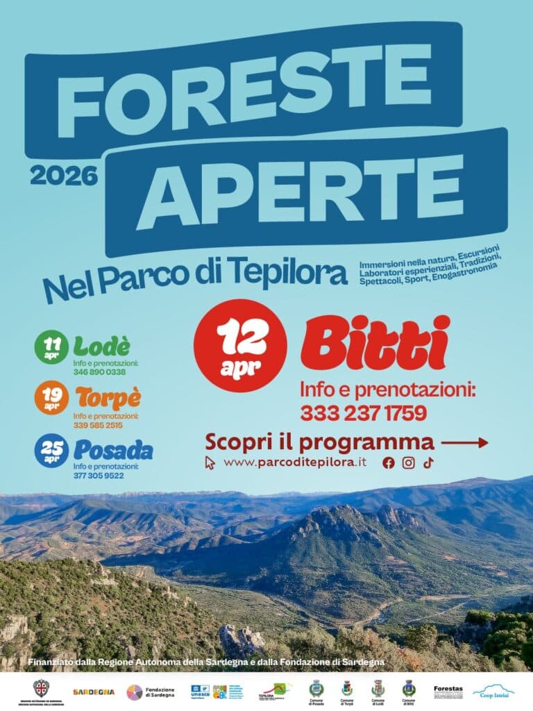 Foreste Aperte a Bitti - immagine 1