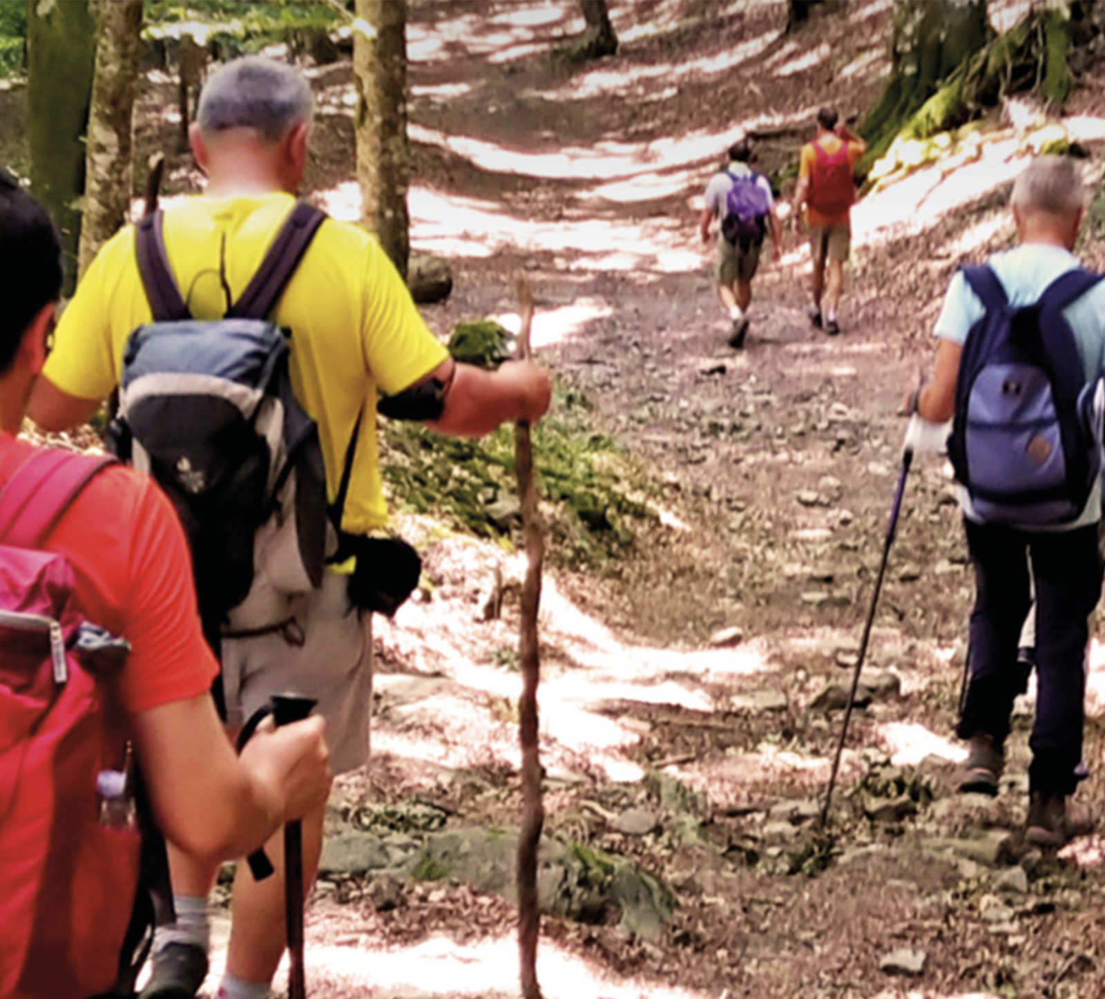 Escursione nella foresta sacra, dal Monastero all'Eremo di Camaldoli - immagine 1