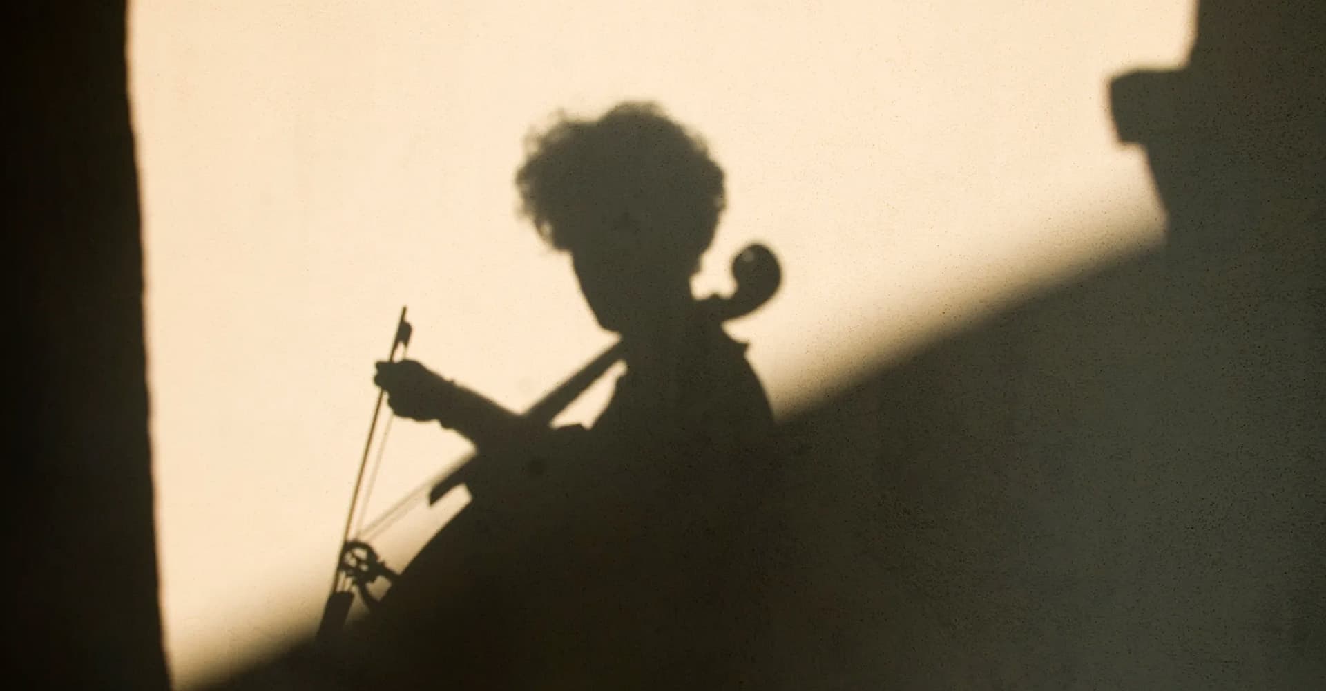 Il Festival delle Viole - immagine 1