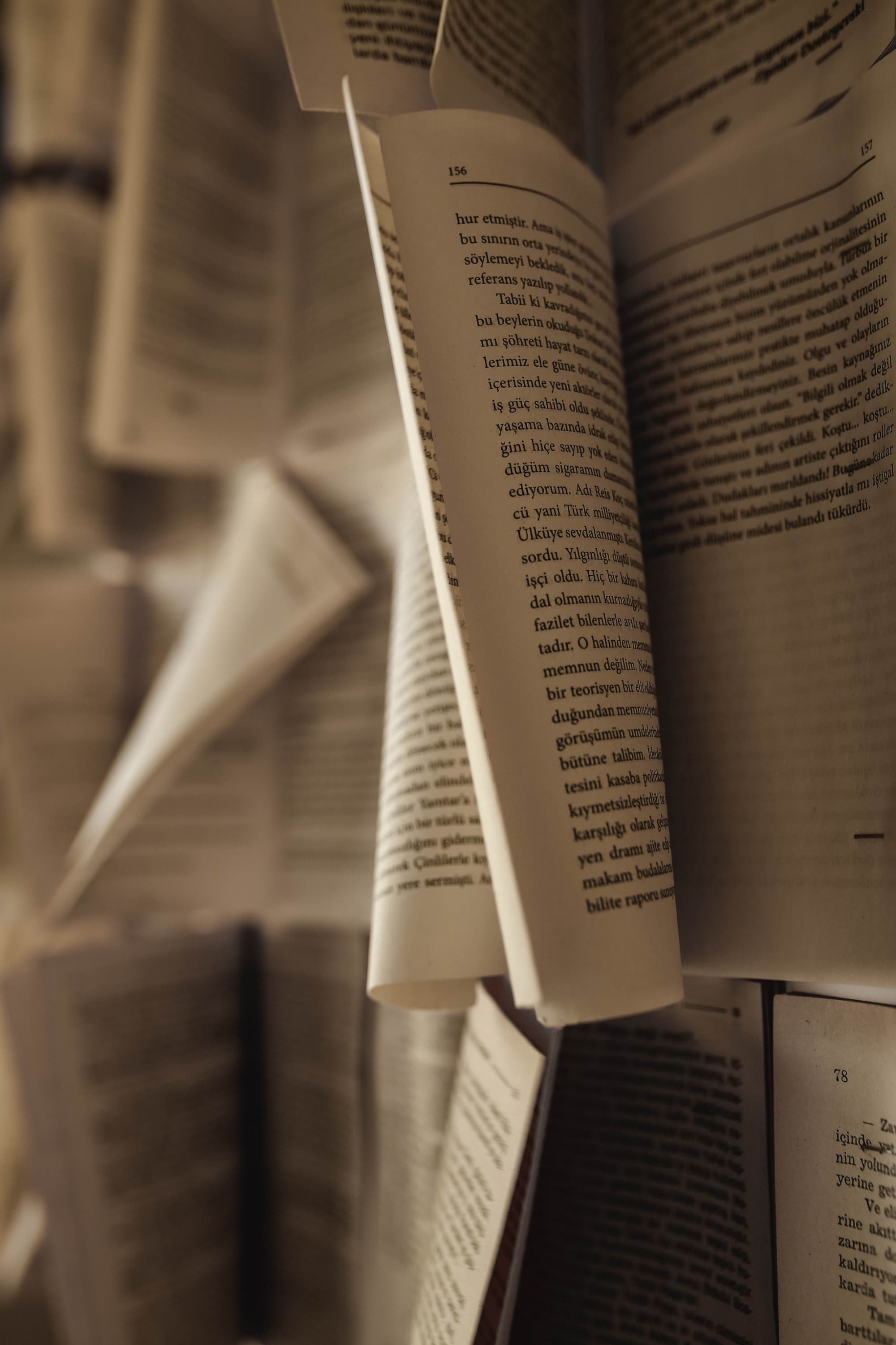 Biblioteca Fuori Porta - immagine 1