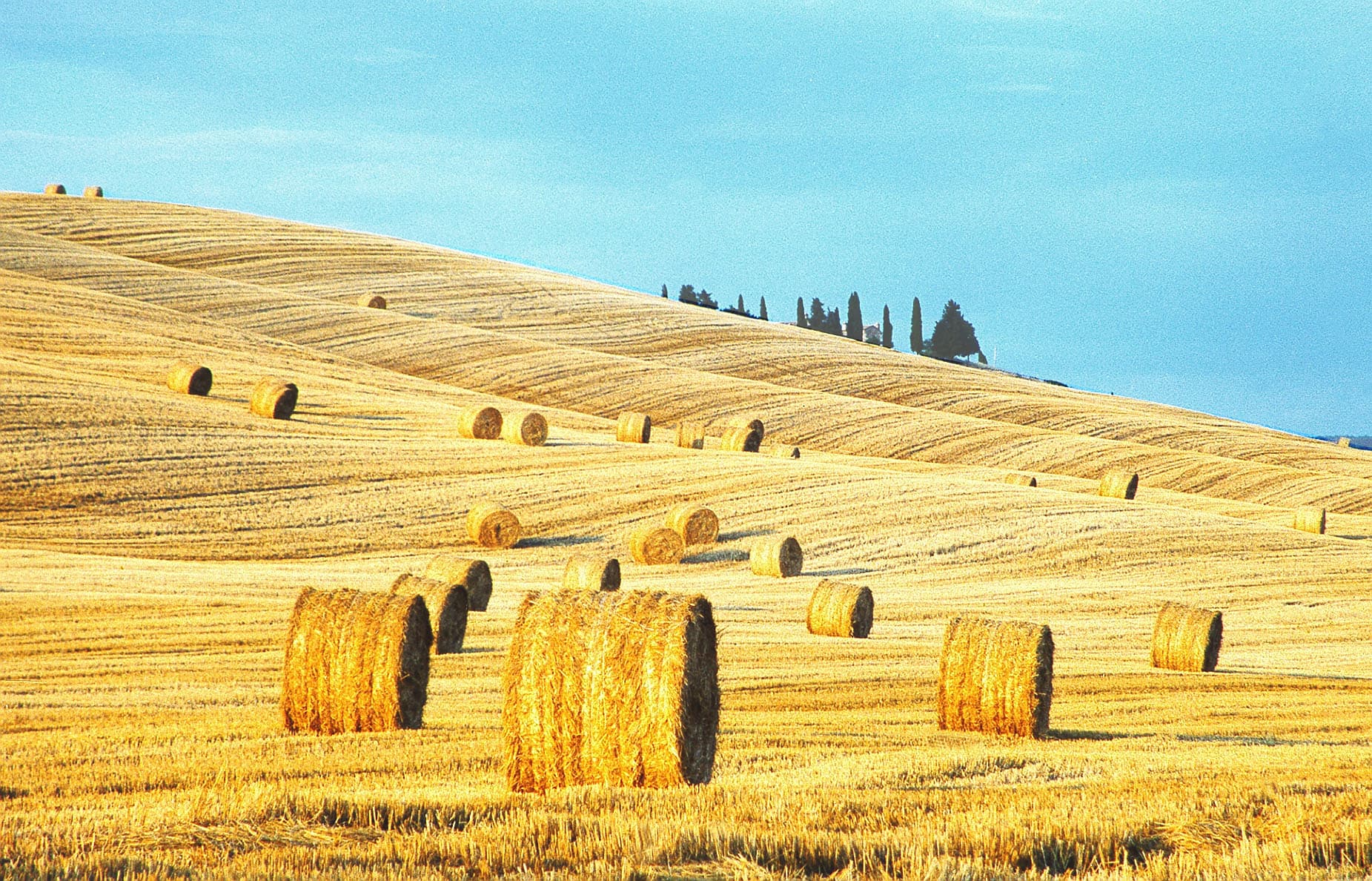 Paesaggi Musicali Toscani - immagine 1