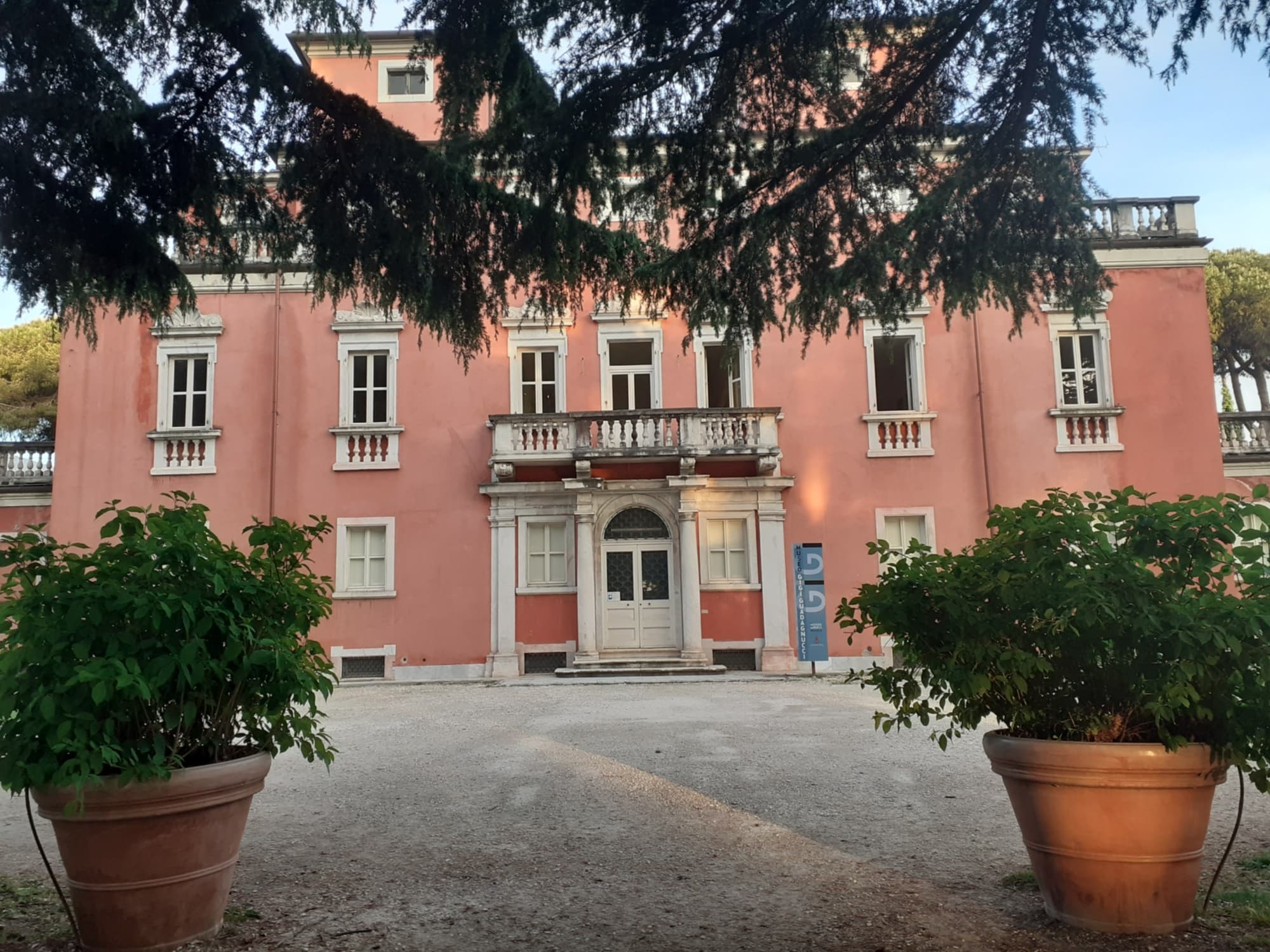 Astratto organico - immagine 1