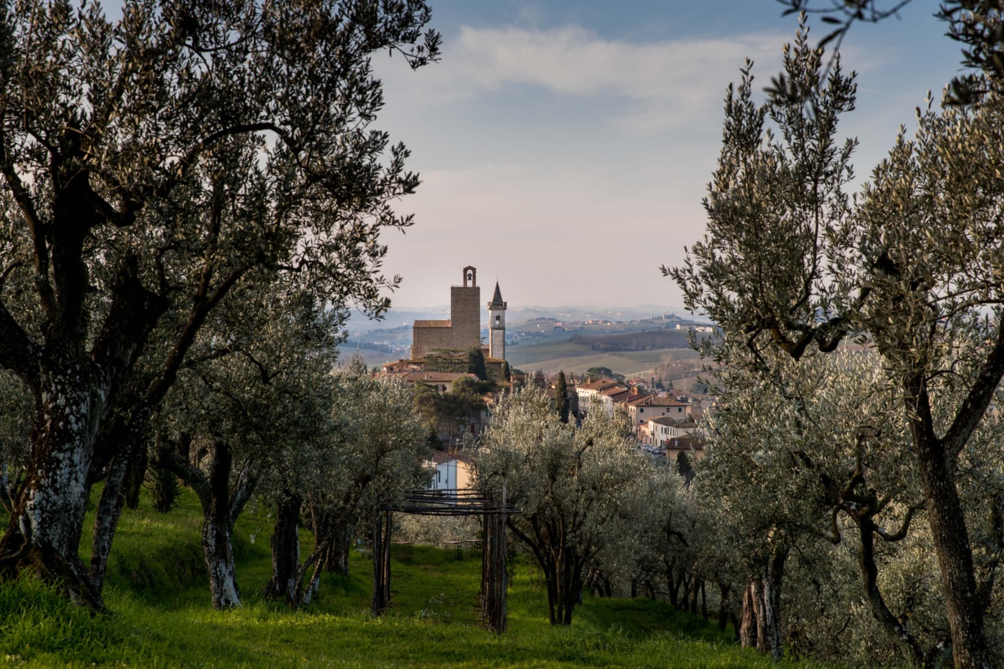 Celebrazioni Leonardiane - immagine 1
