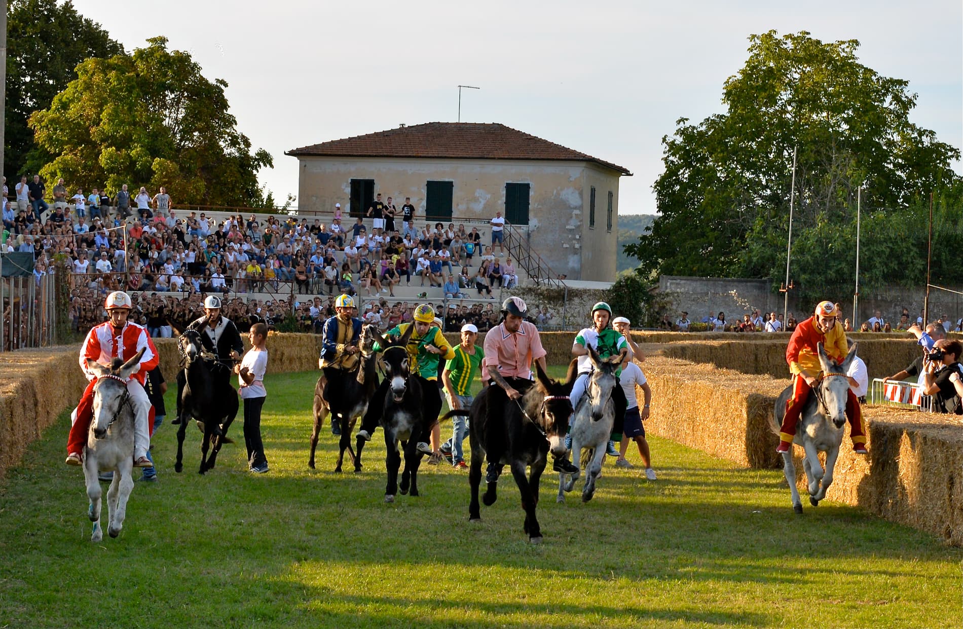 Palio dei Ciuchi - immagine 1
